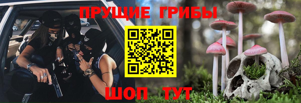 закладки  Псилоцибиновые грибы Psilocybe  Вход с VPN  Киселёвск 