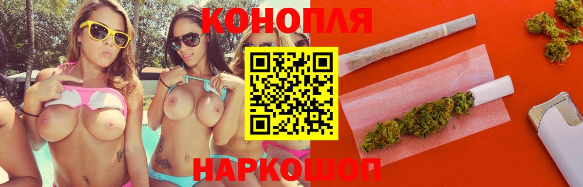 Бошки Шишки тримм  Канабис сатива  Вход с VPN  Киселёвск 